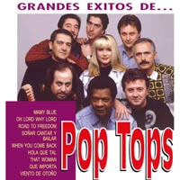 Pop Tops — Pop De Los 60. Los Pop Tops